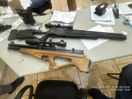 Ave protegida por lei: homem é multado após matar pato-do-mato com tiros de espingarda de pressão 